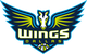 飞翼logo