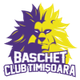 蒂米什瓦拉logo