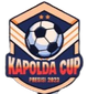 印尼卡杯logo