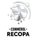 南美超杯logo