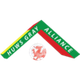 威冠联logo