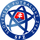 斯伐丁logo