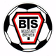 BTS诺伊施塔特logo