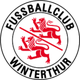 温特图尔logo