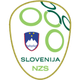 斯洛文尼亚logo