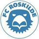 罗斯基德logo
