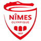 尼姆logo