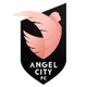 天使城女足logo