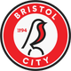 布里斯托尔城logo