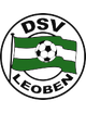 DSV莱奥本logo